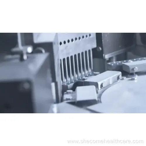 OEM Saw Palmetto Extract Supplement for Prostate Health